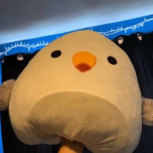 16” Steve the seagull Squishmallow (CP exclusive)